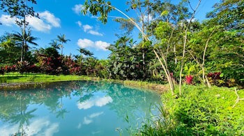 Blue River Resort & Hot Springs