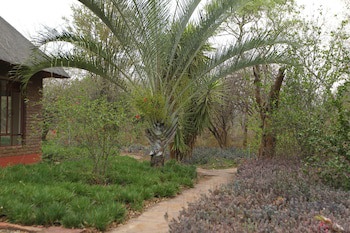 Copacopa Lodge And Conference Centre