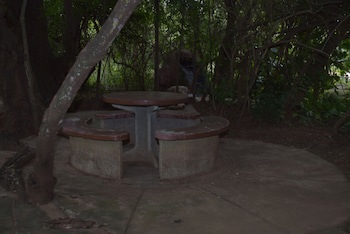 Copacopa Lodge And Conference Centre