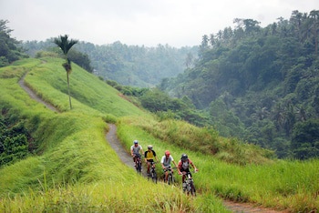 Chapung Sebali