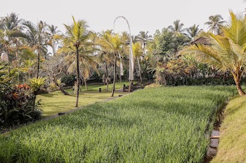 Chapung Sebali