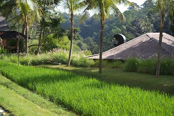 Chapung Sebali