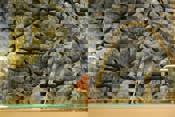 Marigold Thermal Spa Hotel