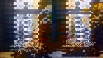 Olimpiyat Otel Izmir