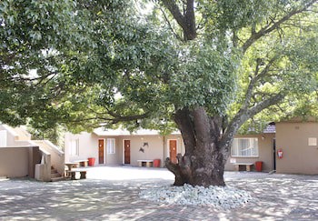 African Sky Bed And Breakfast