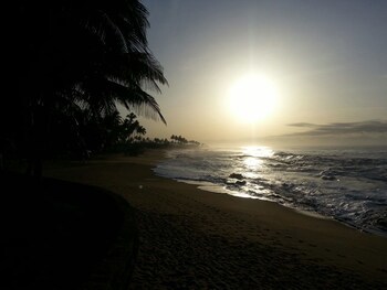 Coconut Grove Beach Resort