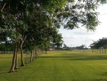Coconut Grove Beach Resort