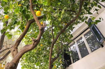 Athens Green Apartments