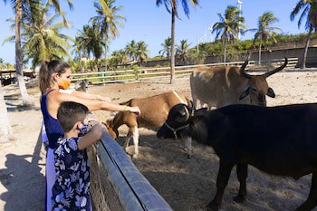 Hotel Parque Das Fontes All Inclusive