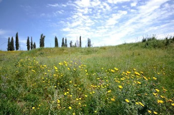 Ein Harod Country Suites & Guesthouse