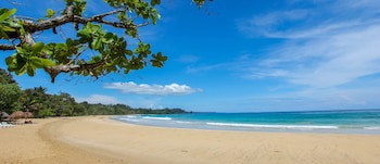 Red Frog Beach Island Resort