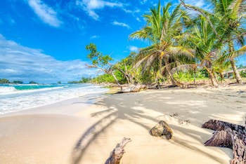 Red Frog Beach Island Resort