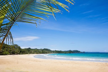Red Frog Beach Island Resort