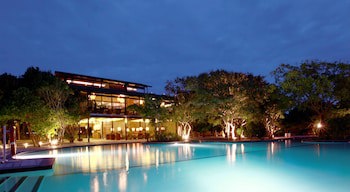 Cinnamon Wild Yala