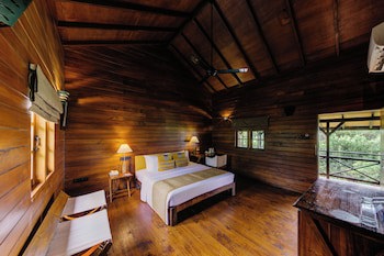 Cinnamon Wild Yala