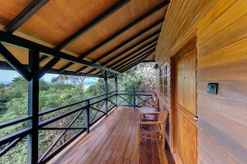 Cinnamon Wild Yala