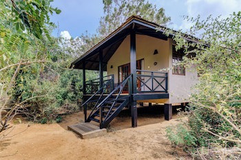 Cinnamon Wild Yala