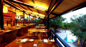 Cinnamon Wild Yala