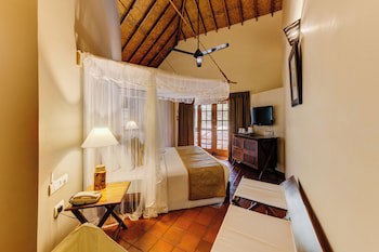 Cinnamon Wild Yala