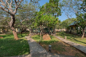 Elephant Reach