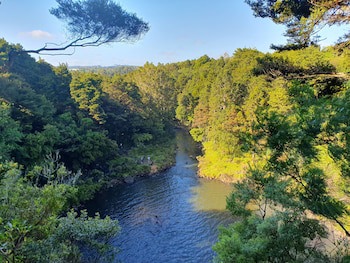 Kerikeri Park Lodge