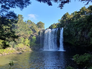 Kerikeri Park Lodge