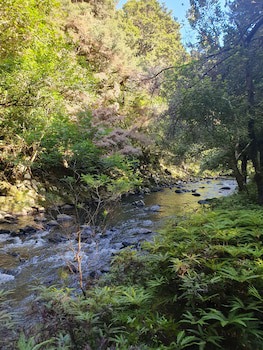 Kerikeri Park Lodge
