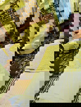 Lausos Hotel Sultanahmet