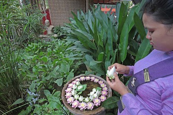 Golden Temple Hotel