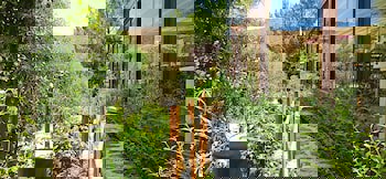 Swiss Eviniz Hotel - Adult Hotel