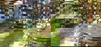 Swiss Eviniz Hotel - Adult Hotel