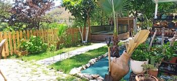 Swiss Eviniz Hotel - Adult Hotel