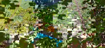 Swiss Eviniz Hotel - Adult Hotel