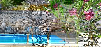 Swiss Eviniz Hotel - Adult Hotel