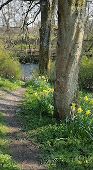 Bay Horse Inn - B&B