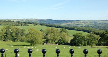 Duke Of Wellington