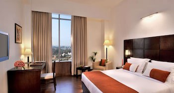 Comfort Inn Tulip Heights