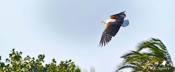 Amazulu Lodge