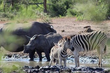 Amazulu Lodge
