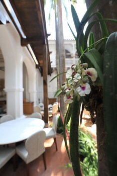 Casa Pestagua Hotel Boutique Spa
