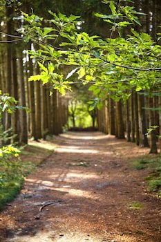 Conferentiehotel Kontakt Der Kontinenten