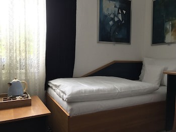 Antik Hotel Sofia Litomysl galeri fotoğrafı