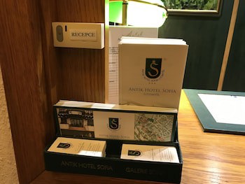 Antik Hotel Sofia Litomysl galeri fotoğrafı