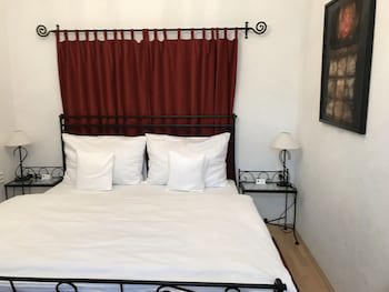 Antik Hotel Sofia Litomysl galeri fotoğrafı