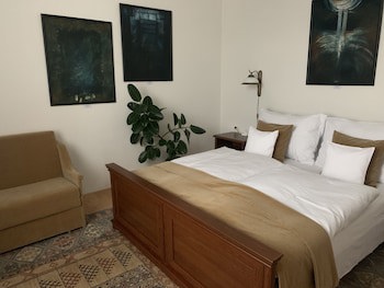 Antik Hotel Sofia Litomysl galeri fotoğrafı