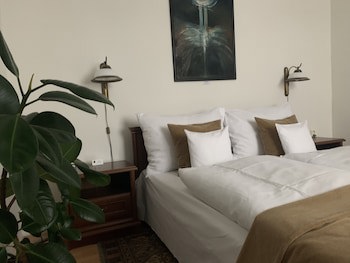 Antik Hotel Sofia Litomysl galeri fotoğrafı