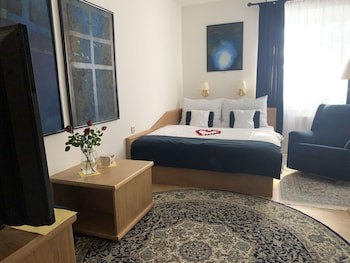 Antik Hotel Sofia Litomysl fotoğrafı