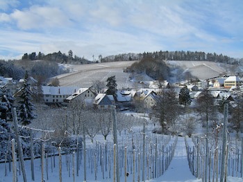 Faxe Schwarzwalder Hof galeri fotoğrafı