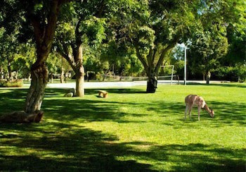 Hacienda Majoro Boutique & Resort