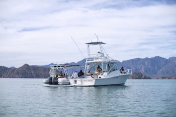 Villa Del Palmar At The Islands Of Loreto